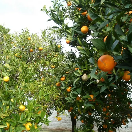 Country house Masseria Pugliese Farm Ostuni