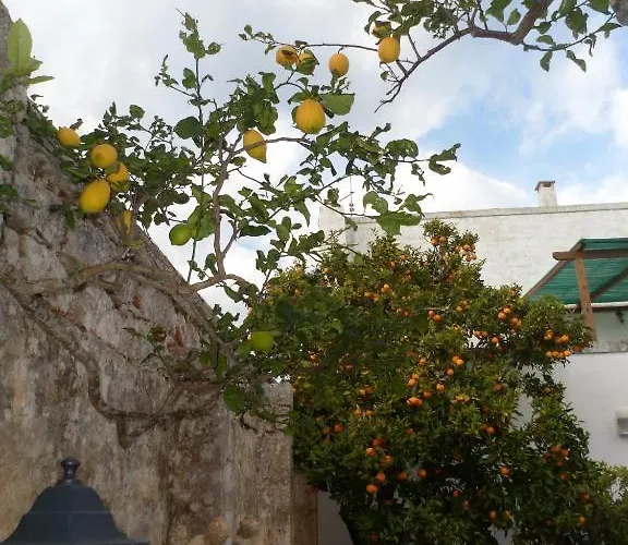 Kır Evi Masseria Pugliese Farm *