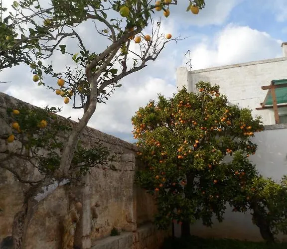 Kır Evi Masseria Pugliese Farm Ostuni