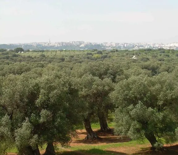 Masseria Pugliese Farm *