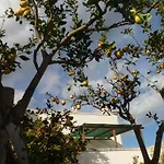 Masseria Pugliese Farm * オストゥーニ