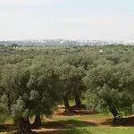 Masseria Pugliese Farm *