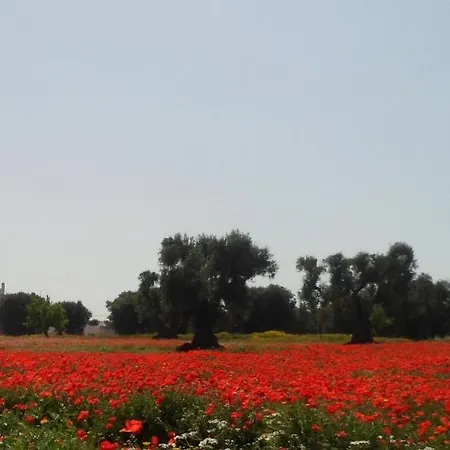 Masseria Pugliese Farm * Ostuni