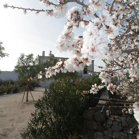 Masseria Pugliese Farm Country house *