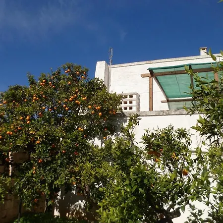 Masseria Pugliese Farm
