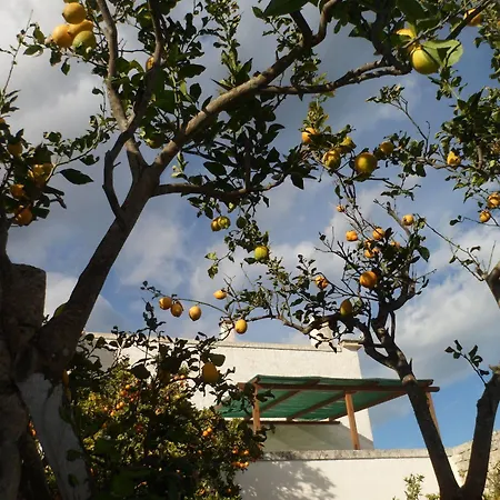 Masseria Pugliese Farm * Ostuni